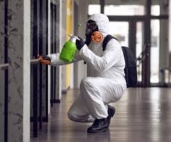 Mold Remediation for Rental Properties in Cleveland, GA